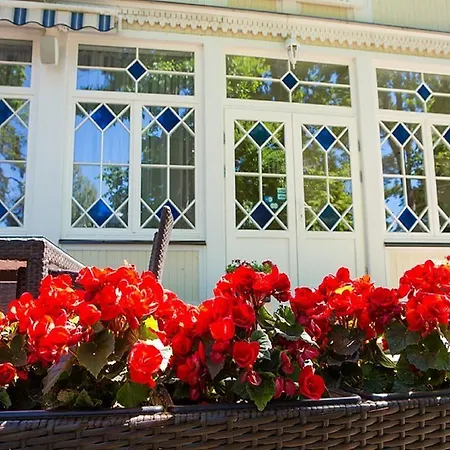 Aparte Lux Homestay szállás *